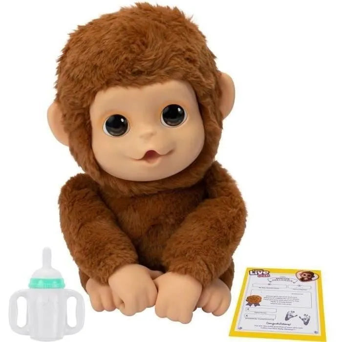 Mon Bébé Singe Mango