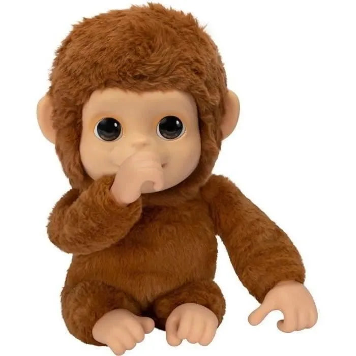 Mon Bébé Singe Mango