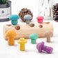 Jouet de cueillette de champignons en bois